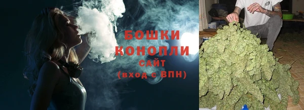 мдпв Надым
