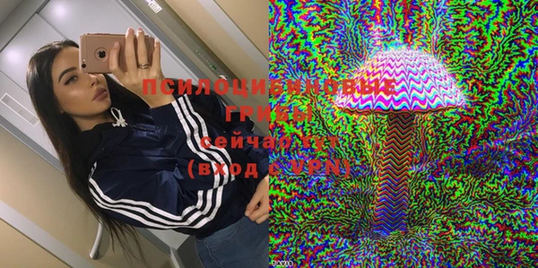 СК Билибино
