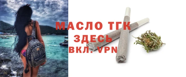 мдпв Елабуга